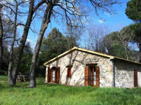 Cottage Il Gabbro Montescudaio